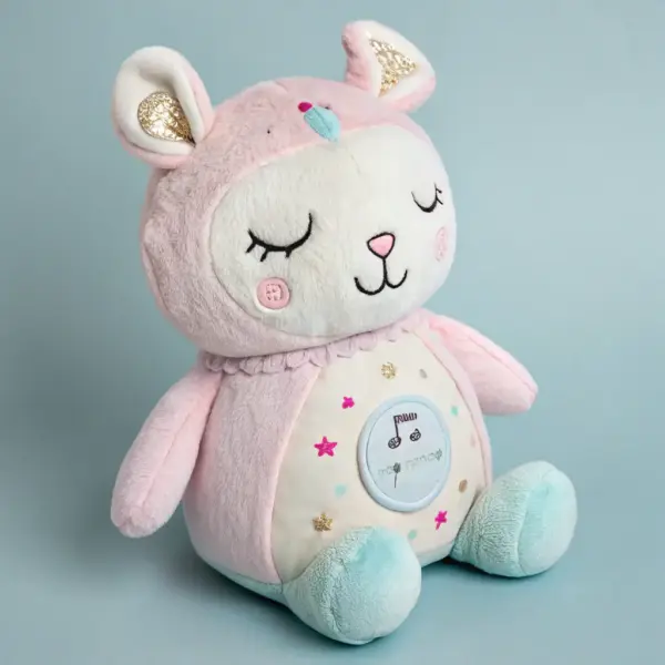 Plush Squeaky Toy