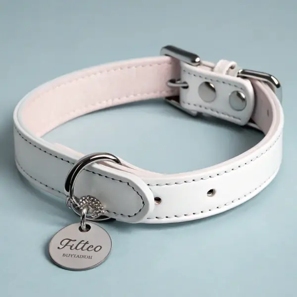 Personalized Name Collar