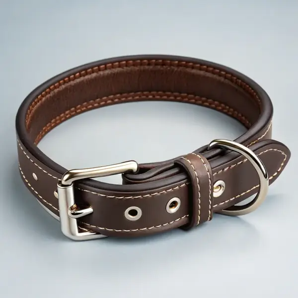 Luxury Leather Collar