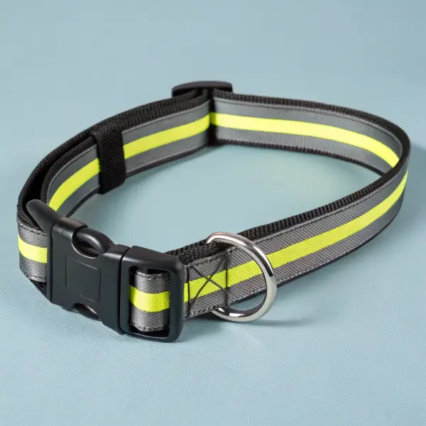 Reflective Nylon Collar